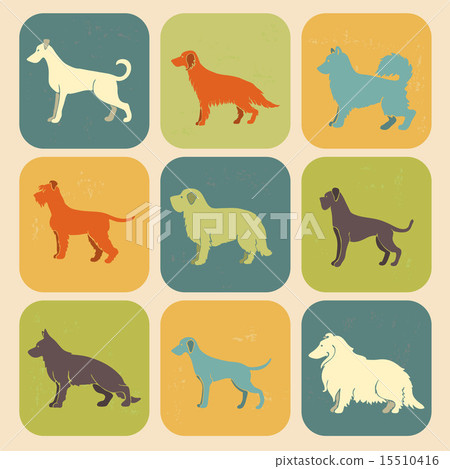 Set of stylized colored icons of dog breeds Set of stylized colored icons of dog breeds 15510416