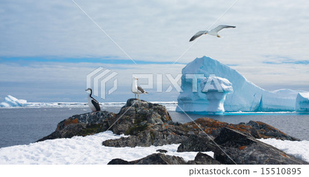 Antarctic landscape Antarctic landscape 15510895