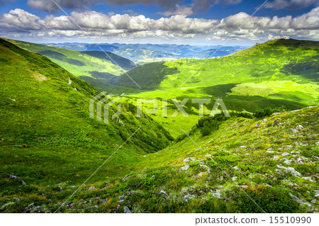 Carpatian summer landscape. 15510990