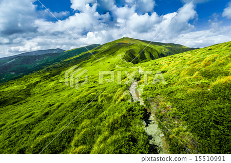 Carpatian summer landscape. Carpatian summer landscape. 15510991