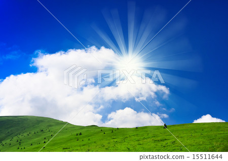 spring hill 15511644