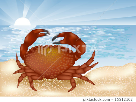 crab at sea 15512102