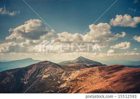 summer landscape. 15512593