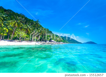 Tropical island 15512657