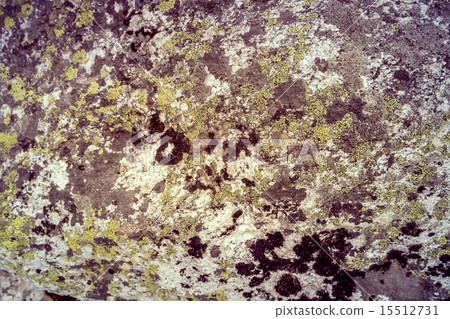 Rock with moss 15512731