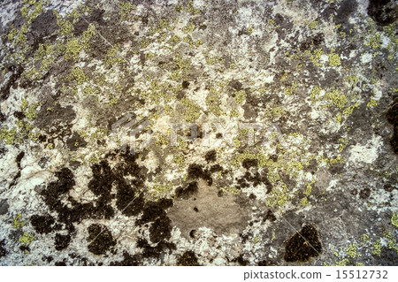 Rock with moss 15512732