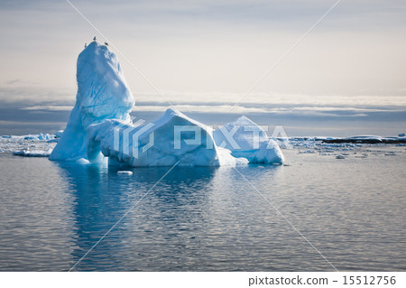 Antarctic icebergs 15512756