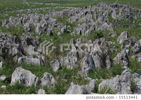 秋吉台1 秋吉台1 15513441