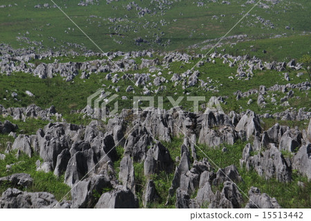 秋吉台2 秋吉台2 15513442