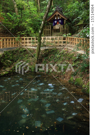 Yaegaki Shrine 15514064