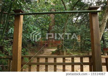 Yaegaki Shrine 15514067