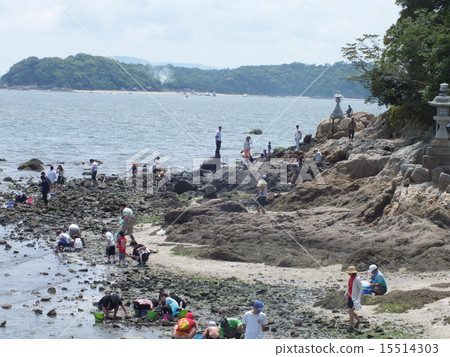 Gamagori Takeshima 15514303