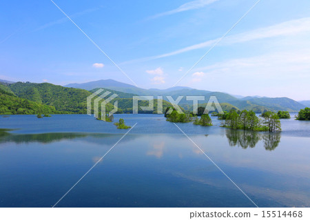 秋元湖初夏 秋元湖初夏 15514468