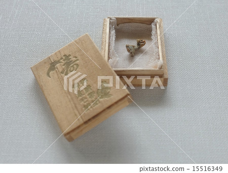 臍帶 臍帶 15516349