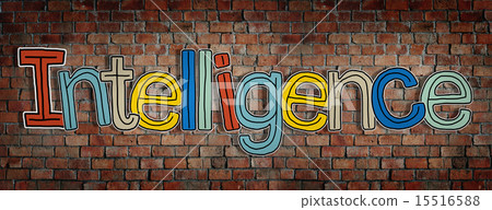 Intelligence Brick wall Single Word Text Background Clean Concep Intelligence Brick wall Single Word Text Background Clean Concep 15516588