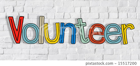 Volunteer and Brick Wall in the Background Volunteer and Brick Wall in the Background 15517200