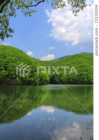 Ozawa swamp in early summer 15519304