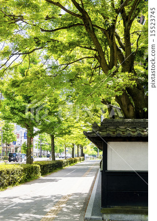 我們的城市系列，Atagoji Sugiyama街 15523745