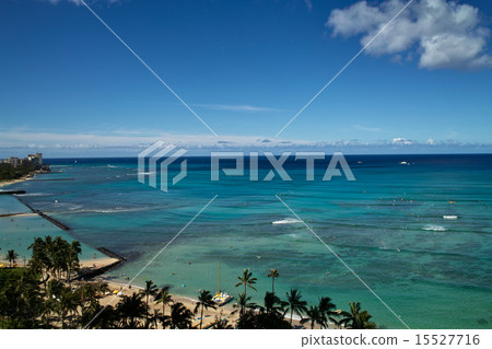 The sea of Hawaii The sea of Hawaii 15527716