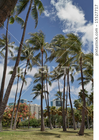 海灘公園 15527717