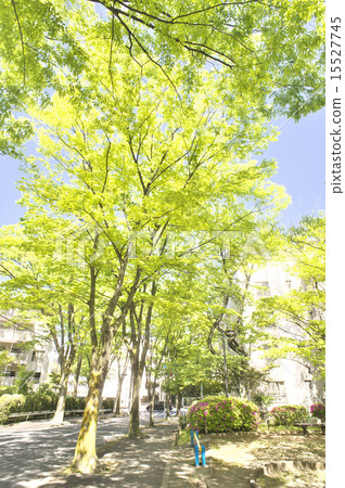 Fresh green 15527745