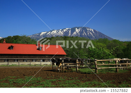Koiwai farm in Iwate prefecture fresh green 15527882