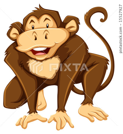 Monkey 15527927