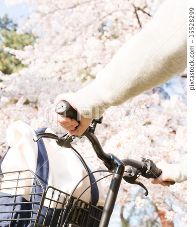 春季騎車 15528299
