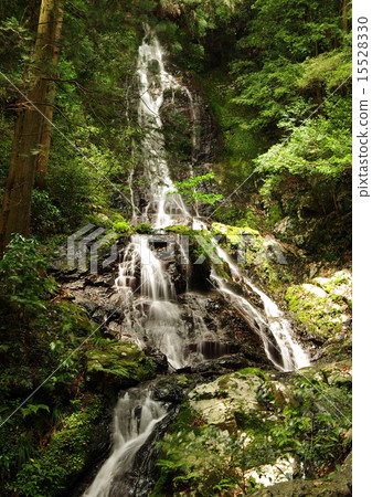 Ningyo Chicken Waterfall Otaki Ningyo Chicken Waterfall Otaki 15528330