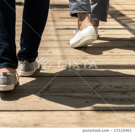 leg  15528461