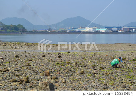 海岸 15528494