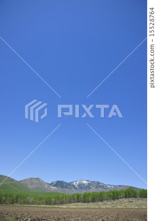 Spring Tsumagoi Spring Tsumagoi 15528764