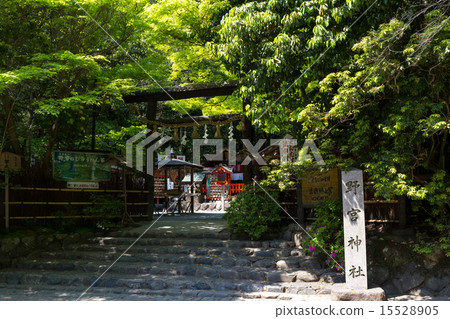 新鮮的綠色 - 野宮神社 新鮮的綠色 - 野宮神社 15528905