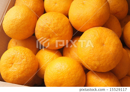 盒裝甜蜜普通話（Sulga Elegant） 15529117