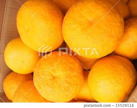 盒裝甜蜜普通話(Sulga Elegant) 盒裝甜蜜普通話(Sulga Elegant) 15529118