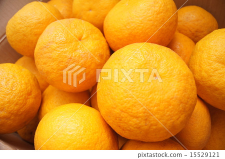 盒裝甜蜜普通話（Sulga Elegant） 15529121