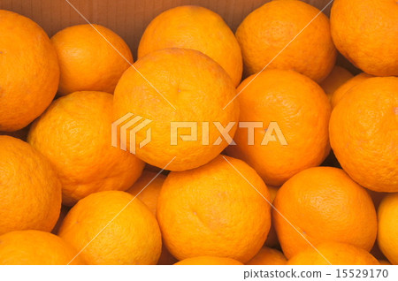 盒裝甜蜜普通話(Sulga Elegant) 盒裝甜蜜普通話(Sulga Elegant) 15529170