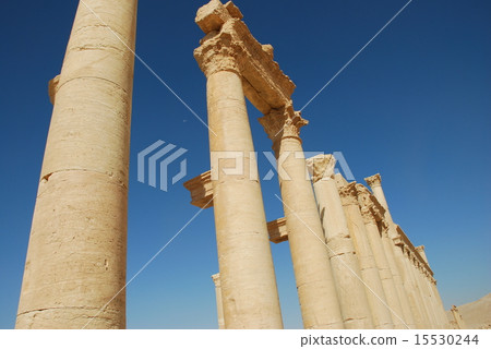 Palmyra 15530244