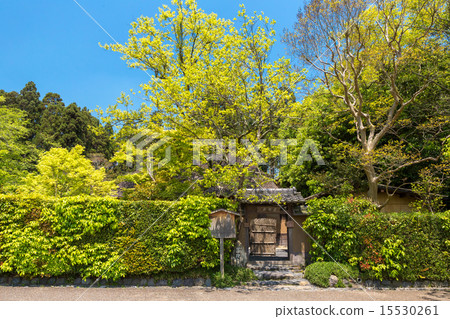 Rakugaku Rakugaku 15530261