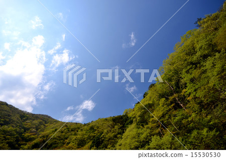 Fresh green and blue sky Fresh green and blue sky 15530530