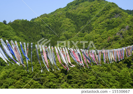 鯉魚旗 鯉魚旗 15530667