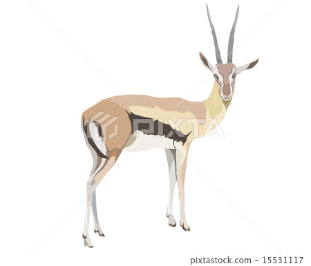 湯姆森加澤爾 15531117