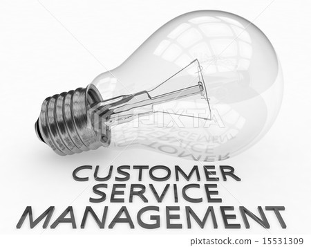 Customer Service Management 15531309