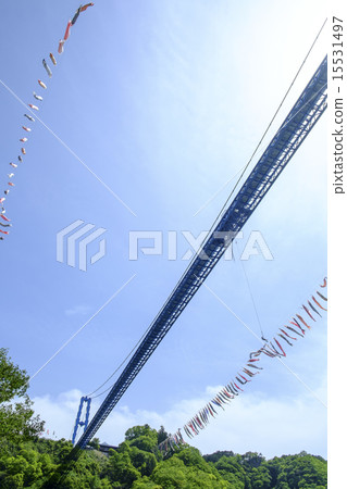 Carp streamer Carp streamer 15531497