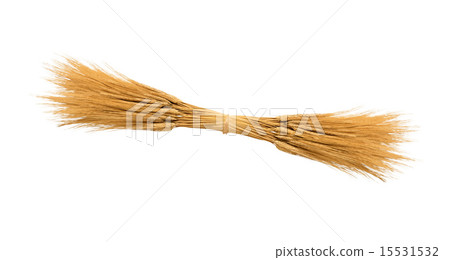 Wheat ears isolated 15531532