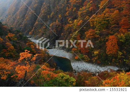 Nishi-ga-ku秋天湖秋葉 Nishi-ga-ku秋天湖秋葉 15531921