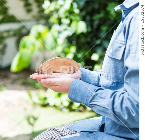 生態汽車 15532074