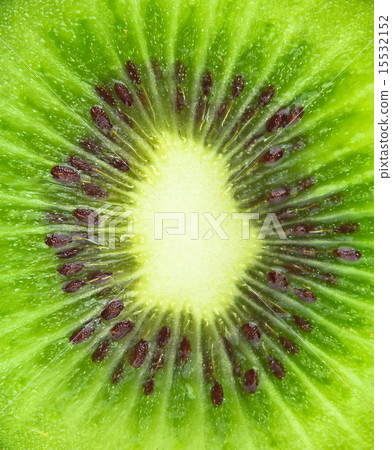 Close up of kiwi slice Close up of kiwi slice 15532152