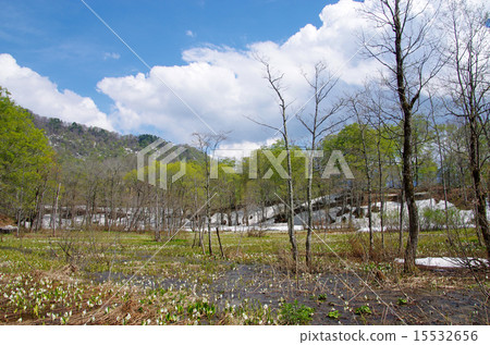 Okutsenka Nature Park 15532656