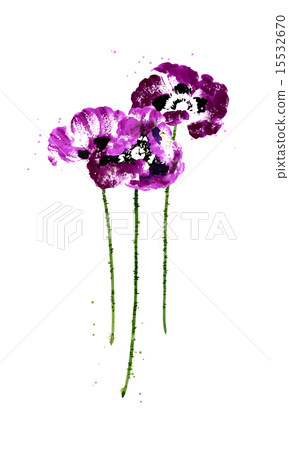 Collection of watercolor poppy flowers Collection of watercolor poppy flowers 15532670